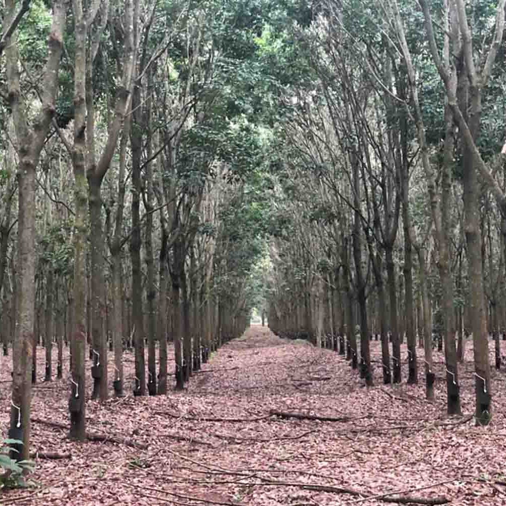 foto-01